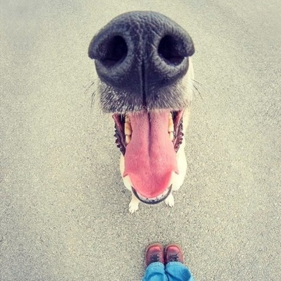 Meet your Posher, Shawn - Picture 1 of 1